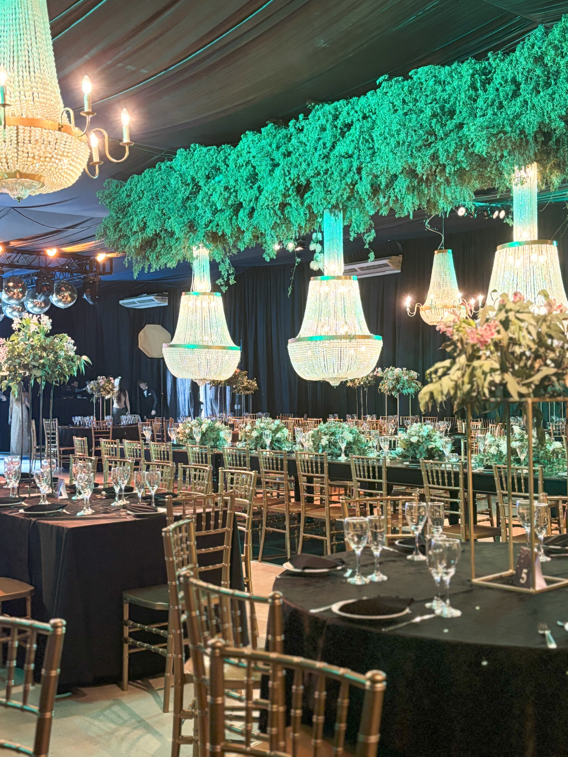 Atención profesional y calidez