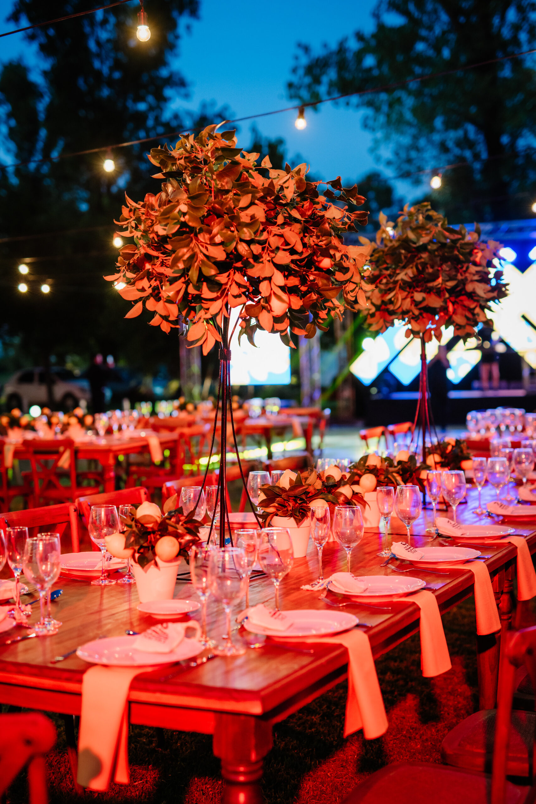 Atención profesional y calidez